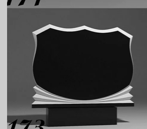 Памятник №173 — фотография модели